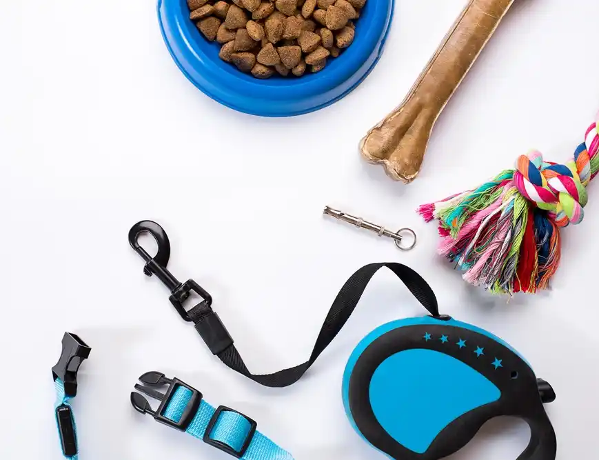 6 Hands-On Tips For Living More Consciously