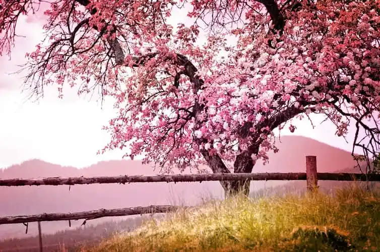 5 Ways to Improve Your Landscape Photos