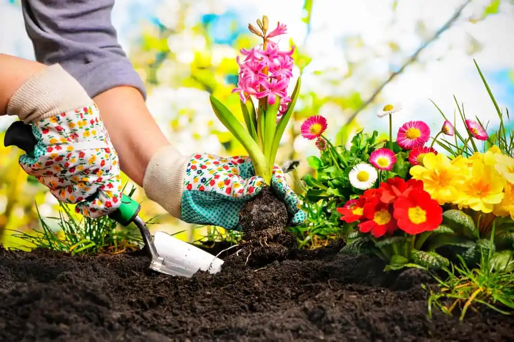 Easy Gardening Hacks That Will Save You Time & Money