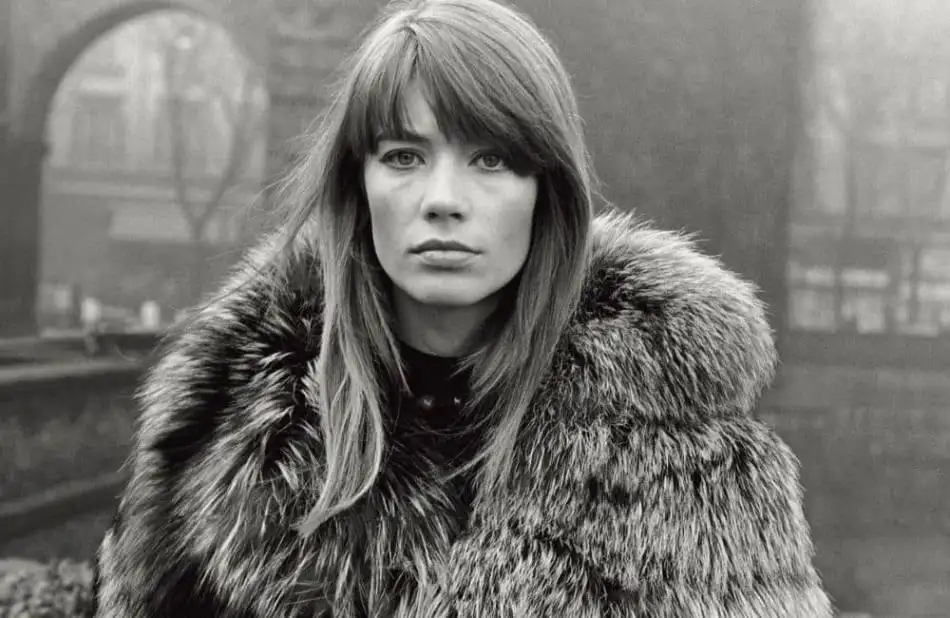 4. Fran&ccedil;oise Hardy
