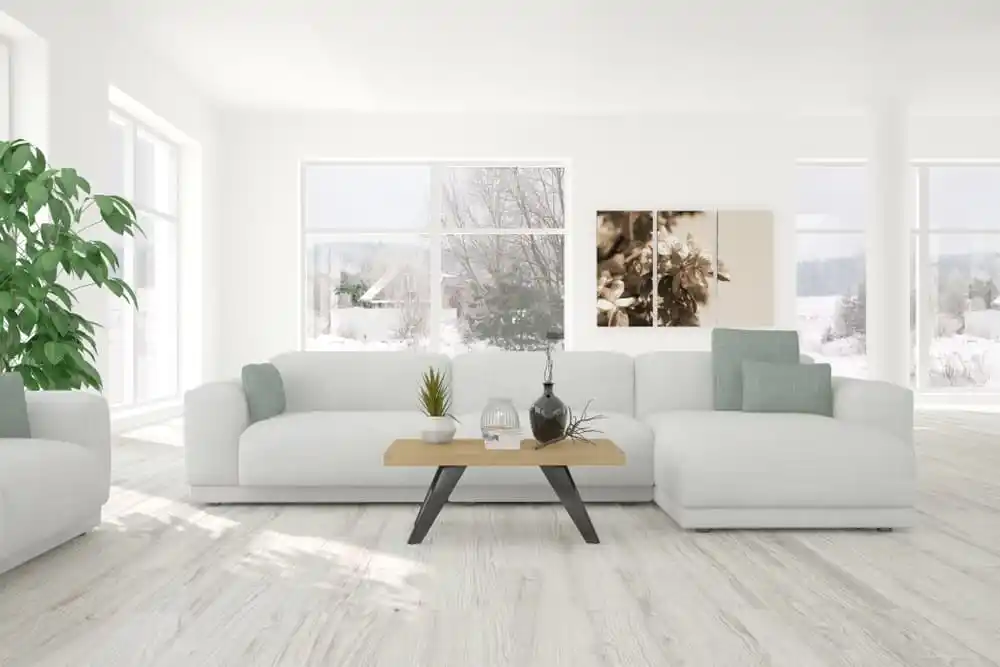 Modern Living Room