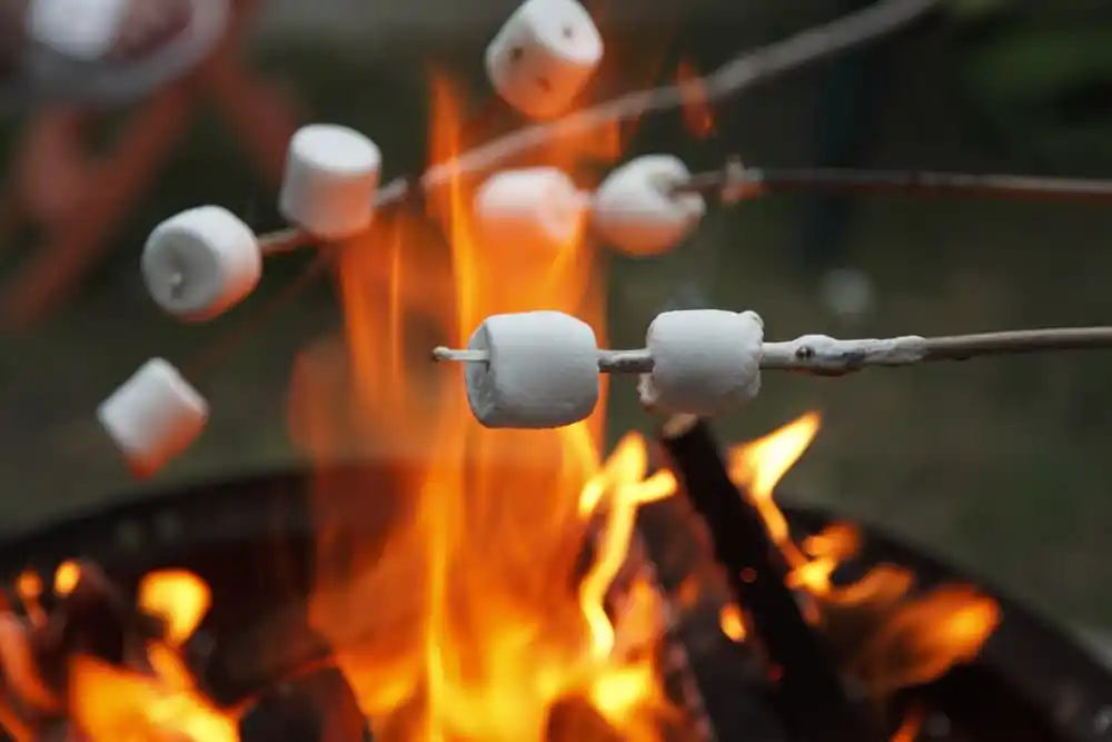 Roasting Marshmallows