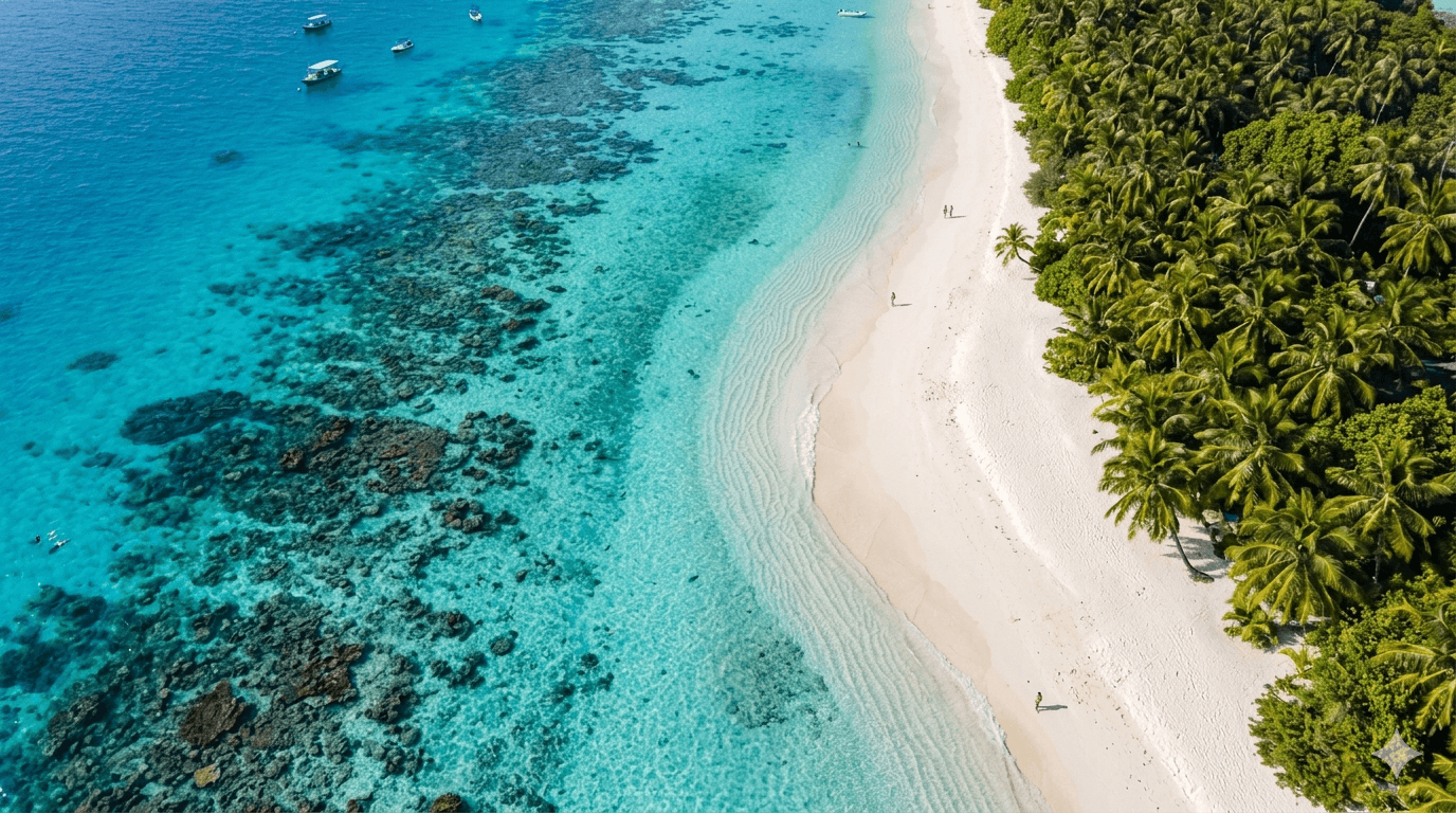 Tropical Beach Aerial